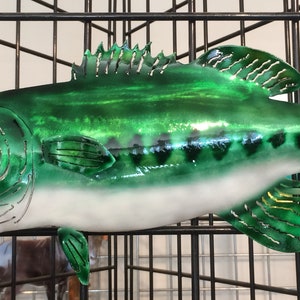 Largemouth Bass