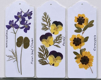 Pressed Flower Bookmarks, Set of Three Real Flowers Botanical Bookmarks