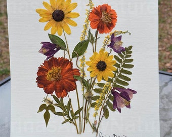 Original Pressed Flower Botanical Art, Wild Flowers Unframed