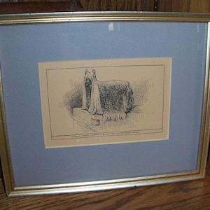 May include: A black and white framed print of a Yorkshire Terrier dog with long hair. The print is titled "Yorkshire Terrier "Catherine Queen" New Zealand Bred Winner."