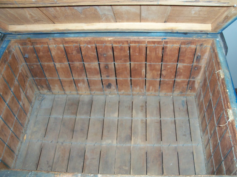 May include: The inside of a wooden crate with a blue painted exterior. The crate has a wire mesh lining and a wooden bottom.