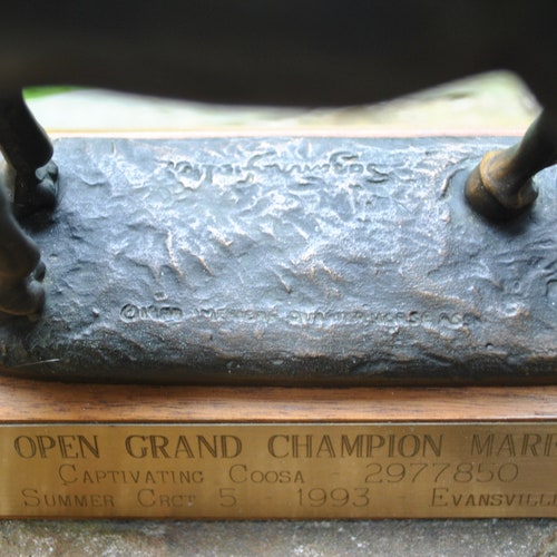 Horse Trophy Mare Large 10 3/4