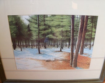 vintage Framed Print Sheldon Rosenthal Forêt Arbres Nature Paysage Neige Hiver