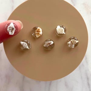 May include: A collection of clear, round resin cabochons, each encapsulating a miniature seashell. The seashells vary in shape and color, with shades of white, tan, and brown. The cabochons are displayed on a beige circular surface.