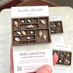 May include: A miniature wooden tray with a grid of compartments, filled with various seashells and small white details. The tray is held in front of a white card that reads "doodle caboodle minis" and "little coastal tray collectible miniatures".