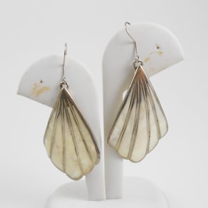 Silver and natural shell dangle drop earrings