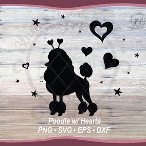 Gráfico de camiseta vectorial SVG de perro caniche para el día de San Valentín / Lindo perro de la temporada del amor con corazones Archivo de corte / Diseño de silueta de sudadera para amantes de las mascotas