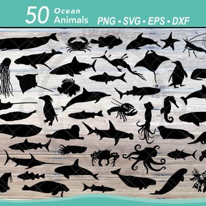 Lot de 50 animaux marins SVG | Silhouette de l'océan | Summer Beach Ocean Life couper des fichiers | Requin, tortue de mer, dauphin, baleine, poulpe, méduse