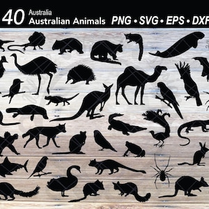 40 Australische Tier Silhouette|Schnabeltier|Känguru|Tasmanischer Teufel|Koala|Wallaby|Wombat|Quokka|Kassoar|Emu|Echidna|Pinguin|Hai