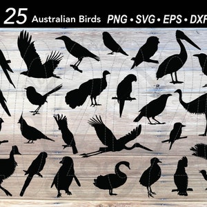25 Australian Birds SVG Bundle Bird Silhouettes Emu Cassowary Cockatiel