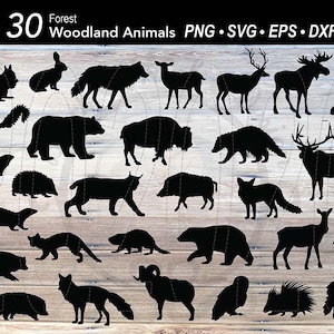 30 Forest Woodland Animal SVG bundle silhouette |Bear|Deer|Elk|Wolf|Fox|Raccoon|Hedgehog|Beaver|Squirrel|Otter|Owl|Bison|Moose| download