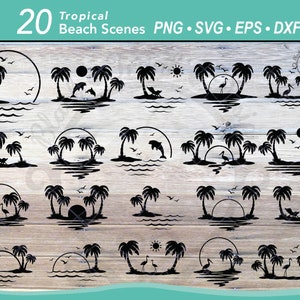 20 bundle SVG di scene di spiaggia tropicale / Scena di delfini nell'oceano / Silhouette di palme al tramonto / Paesaggio di fenicotteri / Uccelli pellicani / Sedia da spiaggia
