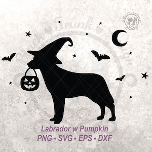 Pompoen Halloween hond SVG Spooky Labrador Witchy Shirt grafische silhouet gesneden bestand | Leuk herfstsweatshirt | Halve maan en vleermuishemel