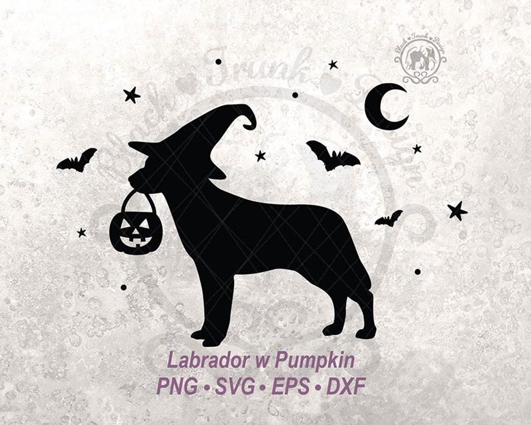 Pumpkin Halloween Dog SVG Spooky Labrador Witchy Shirt Graphic ...