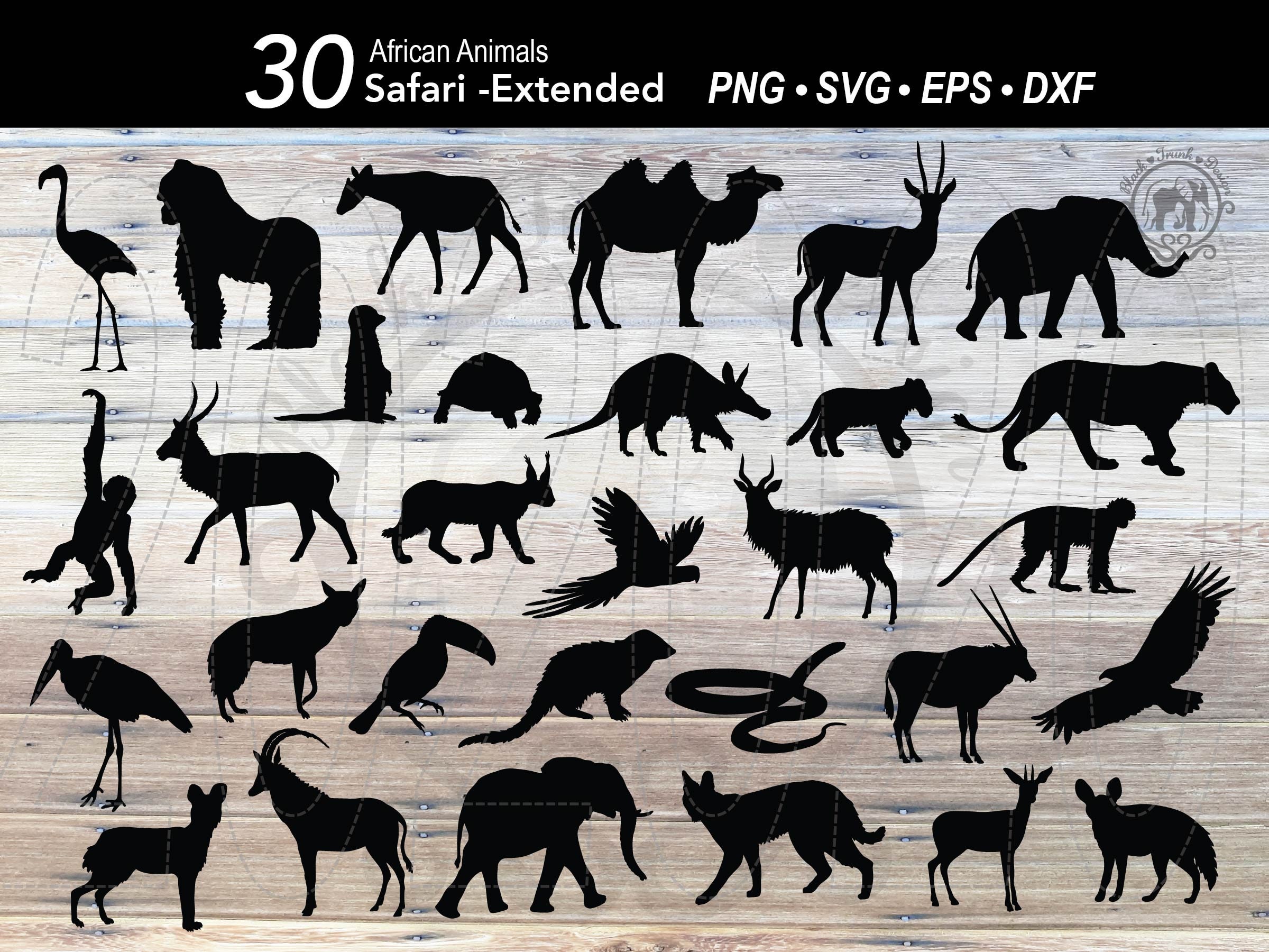 30 Safari Animal SVG Bundle Africa Animal Silhouettes - Etsy