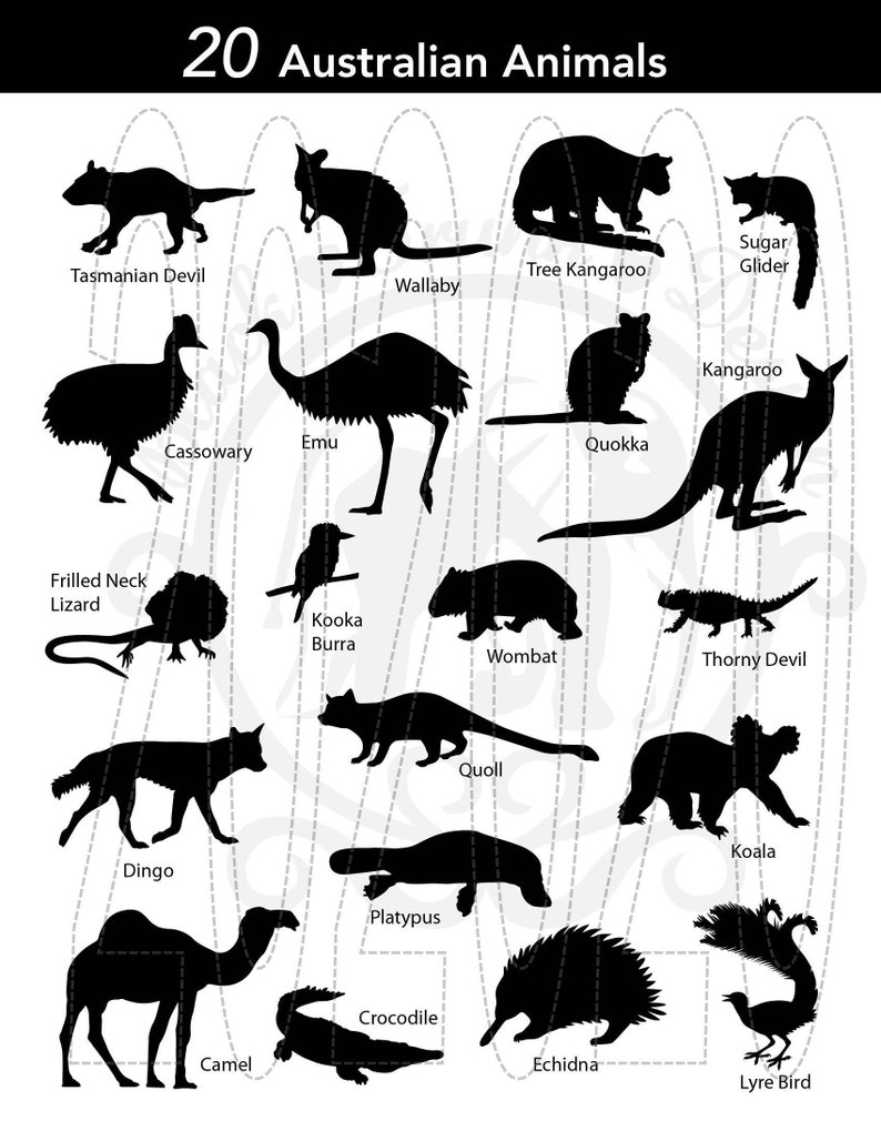 Australian Animal SVG Bundle Etsy Australia