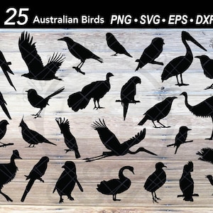 25 Australische Vögel SVG Bundle | Vogel-Silhouetten | Wichtel | Kasuar | Nymphensittich | Pelikan | Rabe | Adler | Lorikeet | Elster | Pinguin