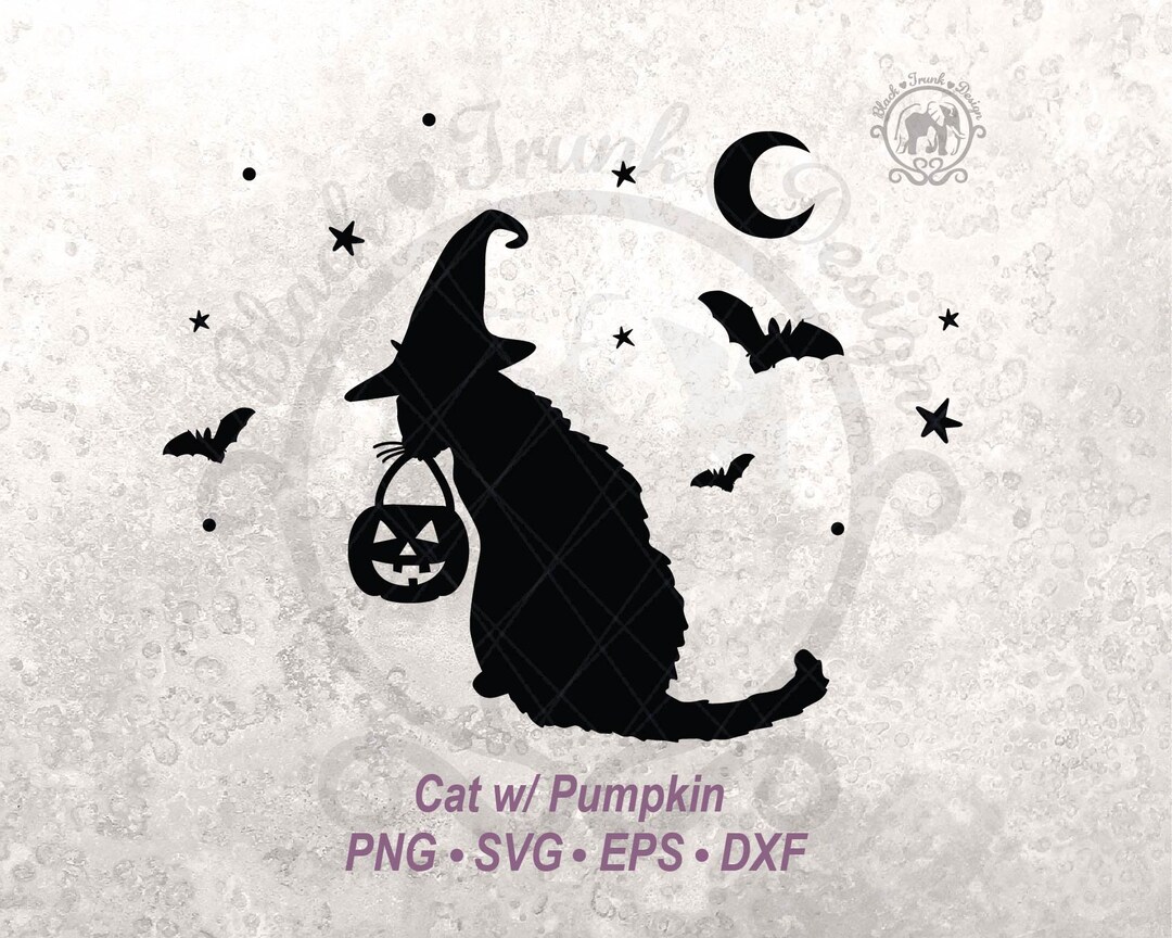 Halloween Black Cat W Pumpkin SVG Spooky Witchy Shirt Graphic | Cute ...