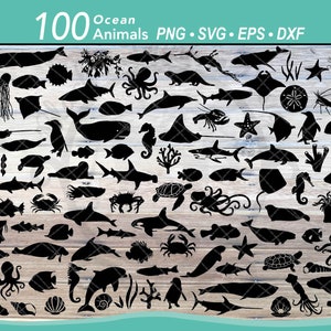 100 zeedieren SVG-bundel | Silhouetten oceaanvissen | Zomer strand oceaan leven gesneden bestanden | Clipart haai, zeeschildpad, dolfijn, walvis, octopus