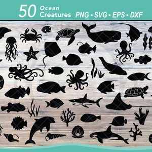50 Ozeantiere SVG Bundle | Fisch-Silhouetten | Unterwasser Tier Clipart | Meeresschildkröte, Delfin, Wal, Krake, Muschel, Koralle, Seepferdchen