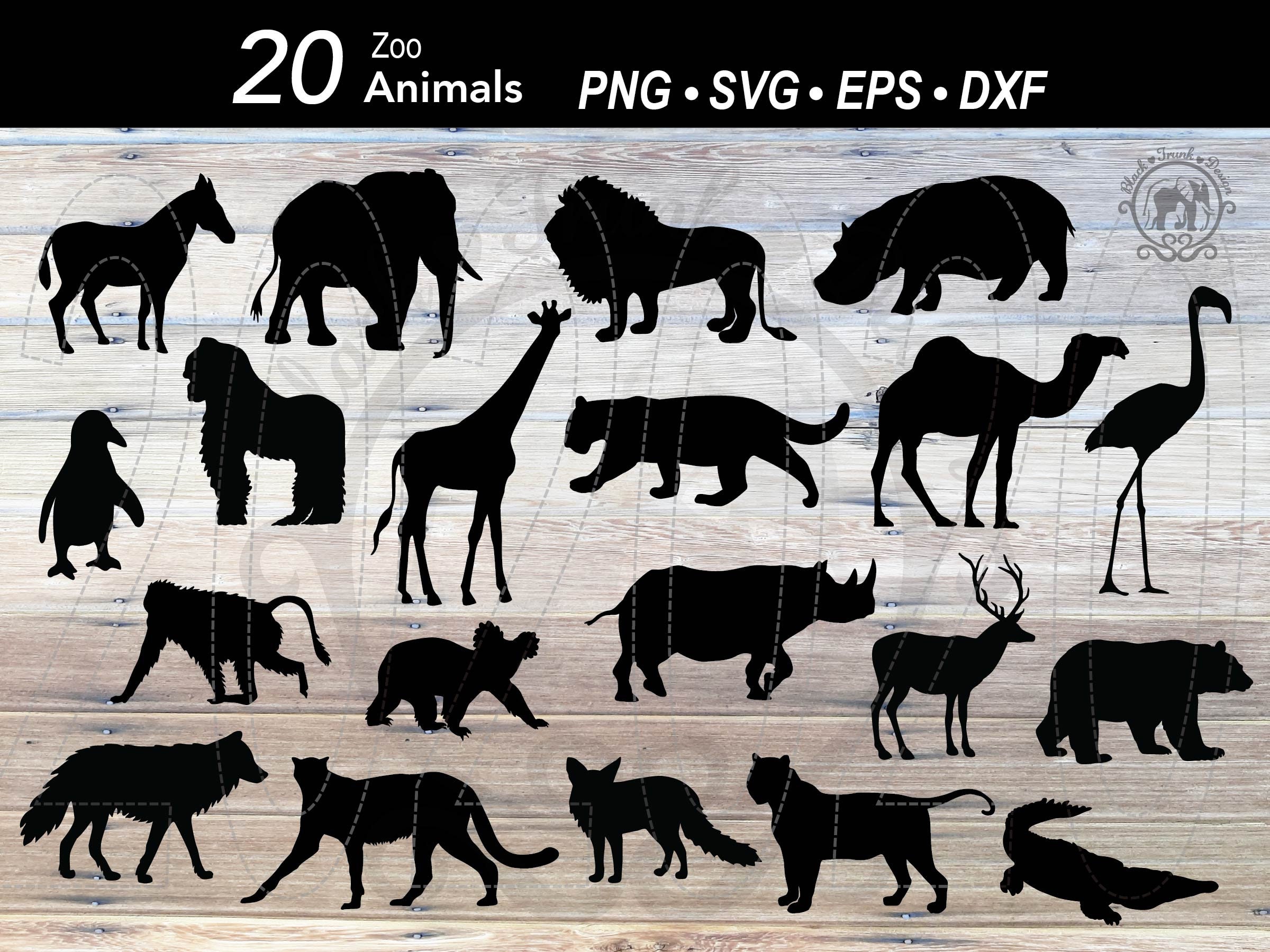 9 Pieces Animal Stencil Templates Reusable Animal Painting Stencil Bear  Tiger Elephant Horse Lion Giraffe Zebra Rhino Deer Craft Drawing Template  for