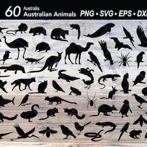 60 australisches Tier SVG Bundle Silhouette | Australisches Outback | Schablone | Känguru | Schnabeltier Koala | Wombat | Kasuar | Bilby