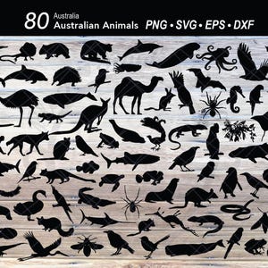 80 Australische dieren SVG-bundel silhouet | Australische outback | Sjabloon Kangoeroe | Vogelbekdier l koala |Emu | Wombat | Ocean Animal Cut-bestanden
