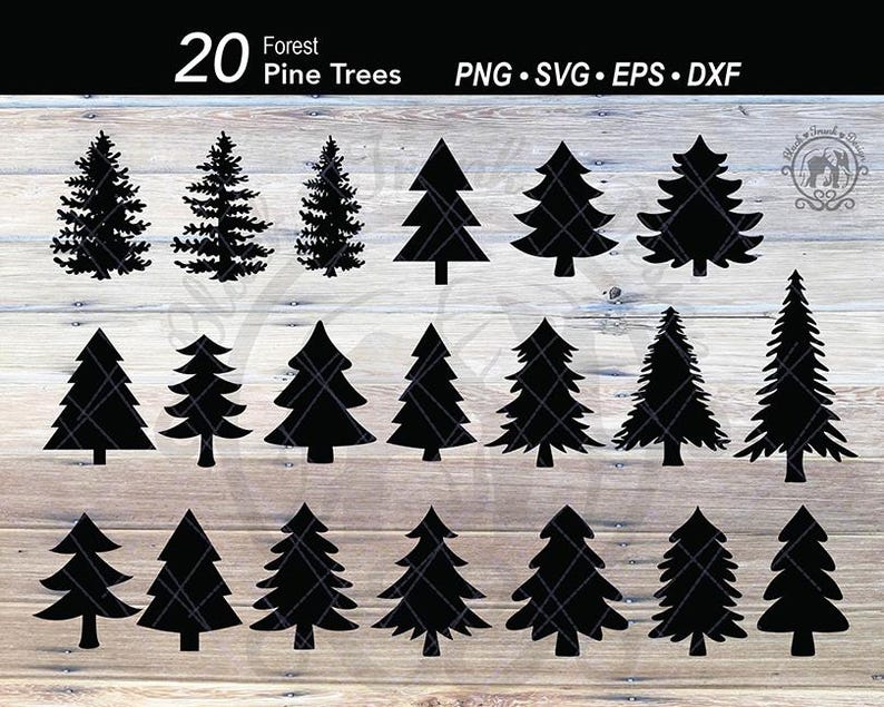 Puede incluir: Una colecci&oacute;n de 20 siluetas negras de pinos forestales en varios estilos. La imagen incluye el texto "20 Forest Pine Trees PNG SVG EPS DXF". Los &aacute;rboles est&aacute;n dispuestos sobre un fondo de vetas de madera clara.