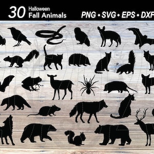 Lot de 30 animaux forestiers d'automne SVG | Automne Halloween Silhouette animale Corbeau Araignée Chauve-souris Serpent Cerf Renard Raton laveur Écureuil Hérisson