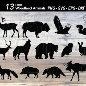 Lot de 13 animaux de la forêt SVG | Silhouette de forêt animale | Ours | Loup | Cerf | Renne | Orignal | Renard | Écureuil | Lapin | Bisons | Aigle