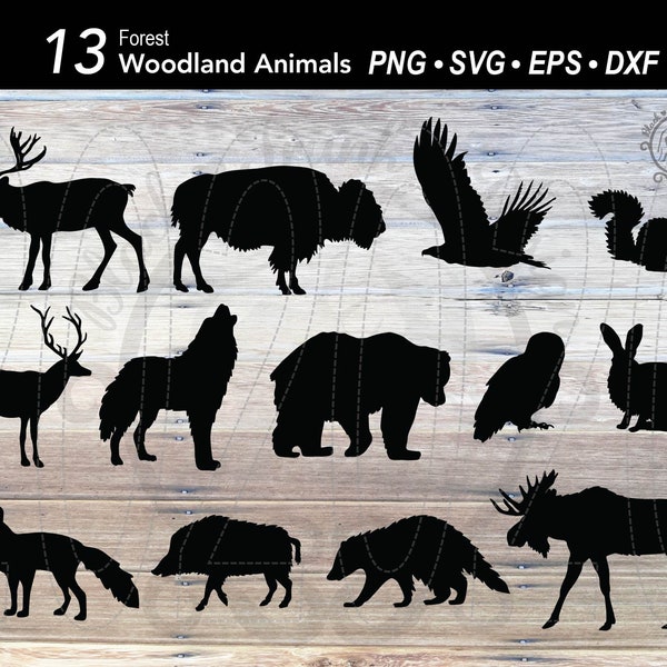 13 Woodland Animal SVG bundle | Animal Forest Silhouette | Bear | Wolf | Deer | Reindeer | Moose | Fox | Squirrel | Rabbit | Bison | Eagle