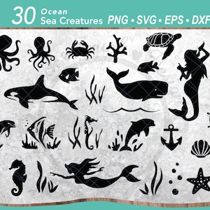 30 Meerestiere SVG bündeln | Meeresbewohner | Leben im Meer | Strand | Meerjungfrau | Delfin | Schildkröte | Krebs | Schwertwal | Krake | Muscheln | Qualle