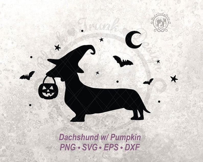 Pumpkin Halloween Dog SVG Spooky Wiener Witchy Shirt Graphic | Cute ...