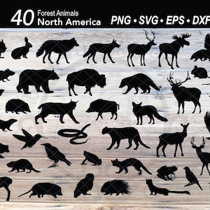 40 animaux de la forêt d'Amérique du Nord SVG | Ours des bois des cliparts | Silhouette de la faune des animaux sauvages coupés | Cerf, wapiti, puma, coyote
