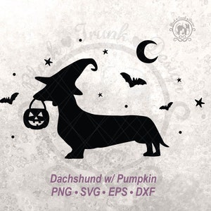 Pompoen Halloween hond SVG Spooky Wiener Witchy shirt afbeelding | Schattig herfstseizoen hond heks silhouet teckel gesneden bestand | Maan en vleermuishemel