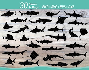 Paquete SVG de 30 tiburones y rayas: silueta vectorial de tiburón martillo, gran tiburón blanco, tiburón ballena, tiburón azul, tiburón bambú y archivo de tiburón tigre.
