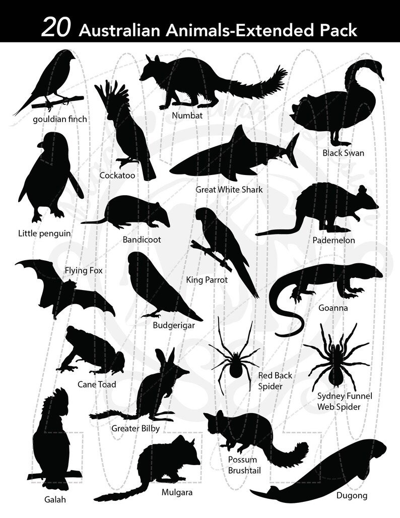 40 Australian Animal SVG Bundle Etsy Australia