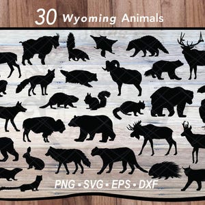 Pacchetto SVG di 30 animali del Wyoming / File di taglio di sagome di animali selvatici della foresta boschiva / Grafica vettoriale di magliette con uccelli e terra del Nord America