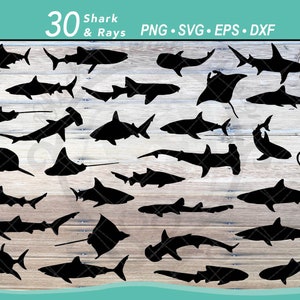 30 Shark & Ray SVG Bundle |Hammerhead Shark Vector Silhouette, Great White Shark, Whale Shark, Blue Shark, Bamboo Shark, Tiger Shark File