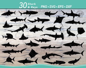 30 Shark & Ray SVG Bundle /Silueta vectorial de tiburón martillo, gran tiburón blanco, tiburón ballena, tiburón azul, tiburón bambú, archivo de tiburón tigre