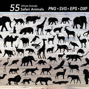 55 Safari Animal SVG Bundle / Silhouette di animali africani / Cucciolo di elefante / Cucciolo di leone / Giraffa / Rinoceronte / Ippopotamo / Gorilla / Zebra / Antilope