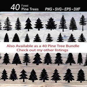 Puede incluir: Una colecci&oacute;n de 40 siluetas negras de pinos forestales de diversas formas y tama&ntilde;os. La imagen incluye el texto "40 Forest Pine Trees" y "Also Available as a 40 Pine Tree Bundle". Los tipos de archivo son PNG, SVG, EPS y DXF.