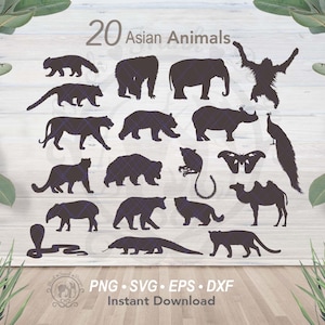 20 Aziatische dieren SVG-bundel | Jungle dieren silhouetten vormen | Digitale gedetailleerde lasergesneden vectorbestanden met wilde dieren