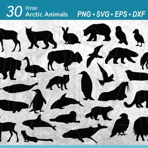 Lot de 30 animaux SVG hiver arctique | Animaux blancs des neiges | Antarctique Animaux du pôle Nord | Pingouin | Loup | Renne | Ours polaire