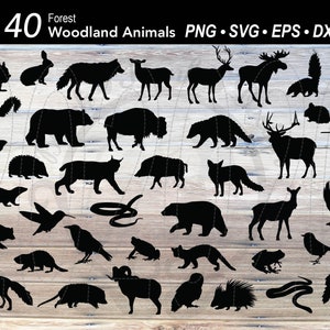 40 Wald Waldtier SVG bündeln | Bärensilhouette | Hirsch | Elch | Wolf |Fuchs |Waschbär |Igel |Luchs |Eichhörnchen |Otter |Elch |Bison |Elch