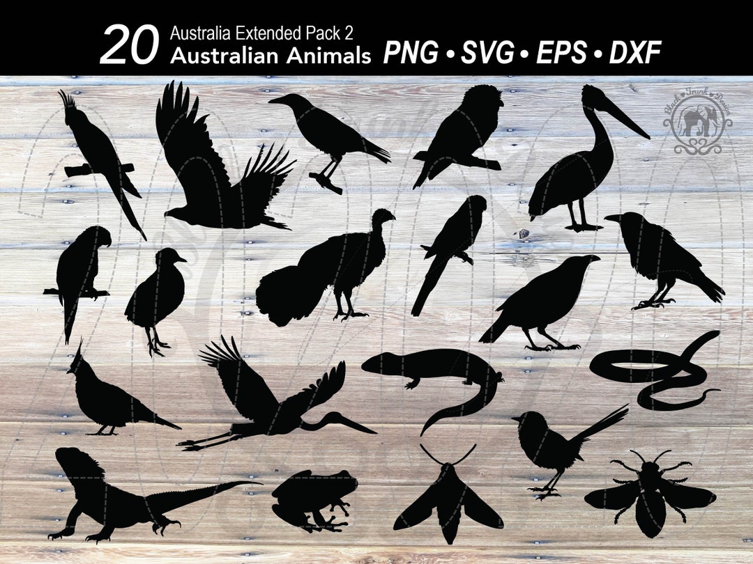 Australian Animal SVG Bundle Silhouette Cockatiel Pelican Raven Eagle