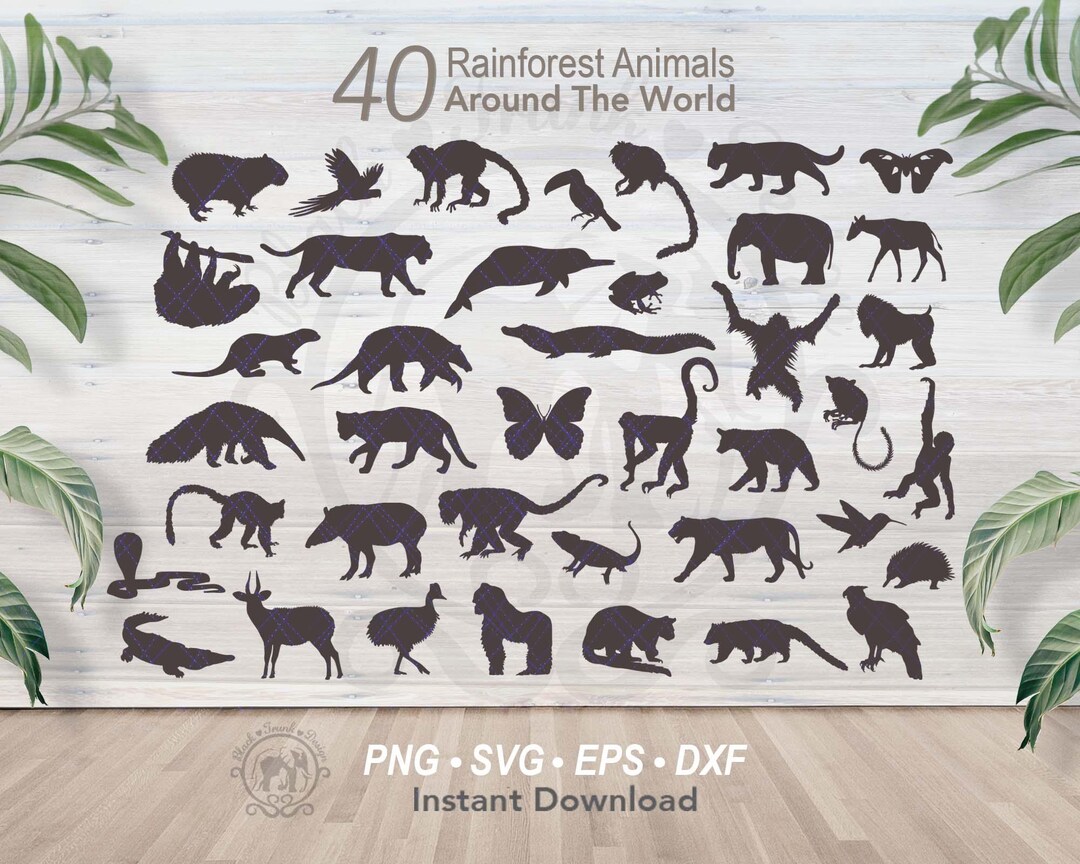 40 Jungle Animals SVG Bundle | Detailed Rainforest Wild Safari Animal ...