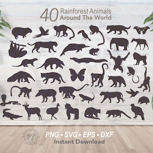 Paquete SVG de 40 animales de la selva / Siluetas detalladas de animales de safari salvajes de la selva tropical de todo el mundo / Archivos digitales vectoriales cortados con láser