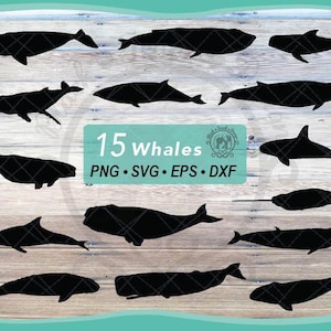 May include: Fifteen black whale silhouettes in different poses are displayed against a light wood grain backdrop. The image includes the text "15 whales" and file type indicators: PNG, SVG, EPS, and DXF.
