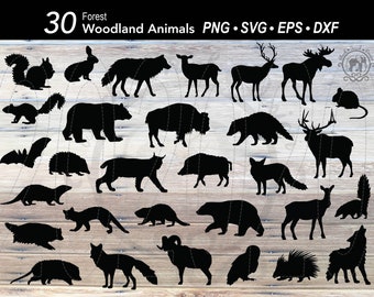 30 Forest Woodland Animal SVG bundle silhouette |Bear|Deer|Elk|Wolf|Fox|Raccoon|Hedgehog|Beaver|Squirrel|Otter|Owl|Bison|Moose| download